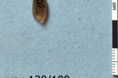 100s