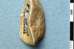 229s