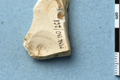 261s
