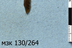264s