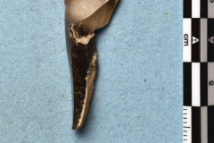 271s