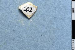 202s