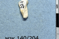 204s
