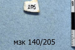 205s