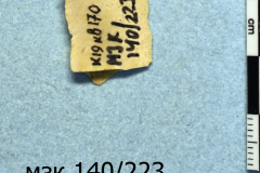 223s