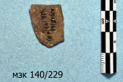 229