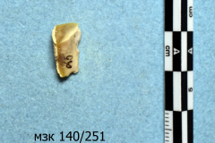 251