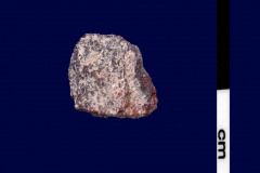 146-19