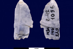 146-229