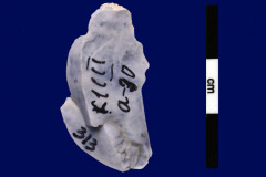 146-313