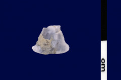 146-336