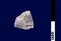 146-341