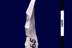146-65