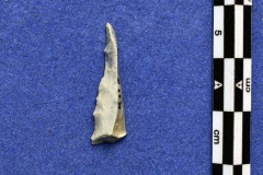 15-121