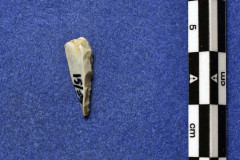 15-59