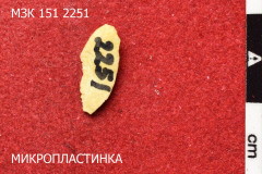 2251