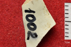 1002s