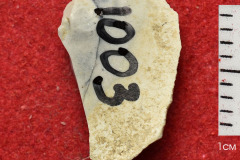 1003s