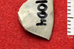 1004s