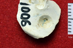 1006s