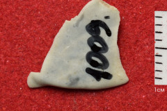 1009s