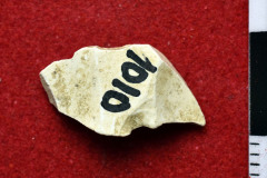 1010s