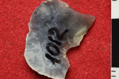 1012s