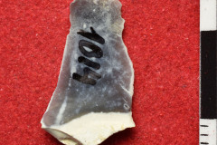 1014s
