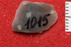 1015s