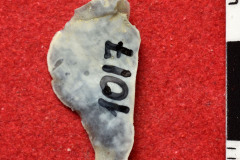 1017s