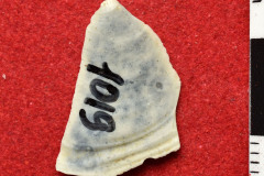 1019s