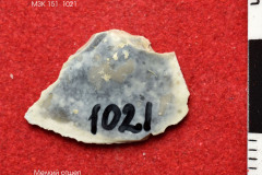 1021s