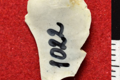 1022s