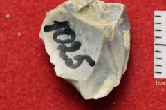 1025s