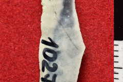 1027s