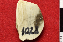 1028s