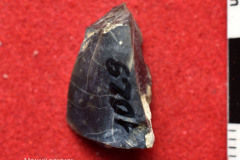 1029s
