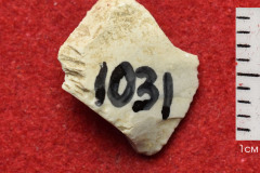 1031s