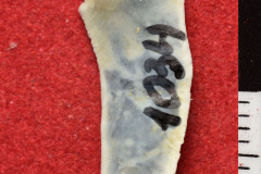 1034s