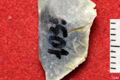 1035s