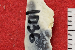 1036s