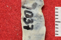1037s