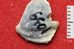 1039s