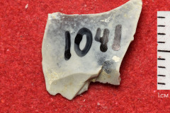 1041s