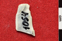 1054s
