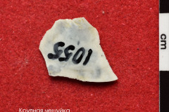 1055s