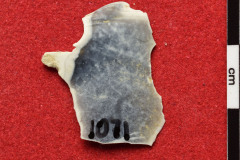 1071s