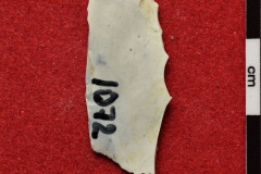 1072s