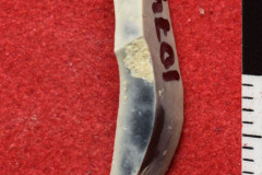 1074s