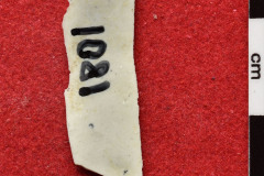 1081s